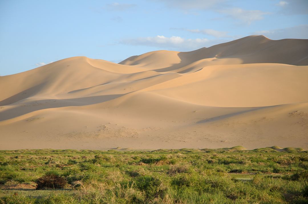081   Mongolia